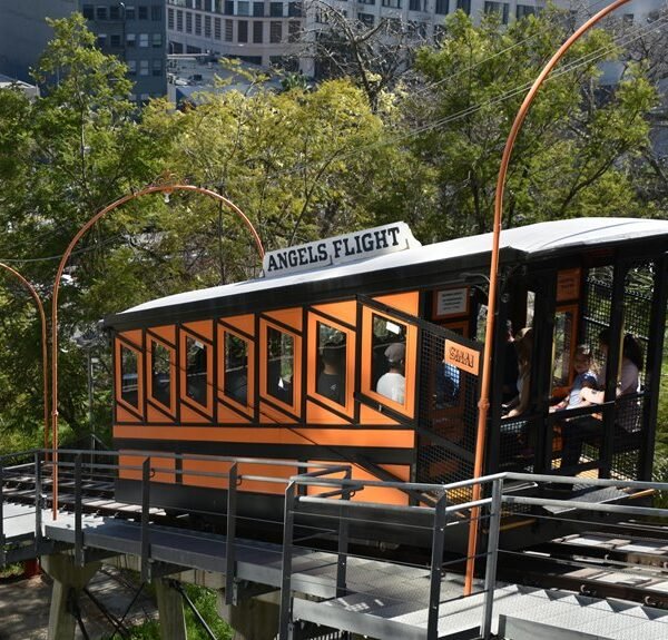 elevate your marketing online