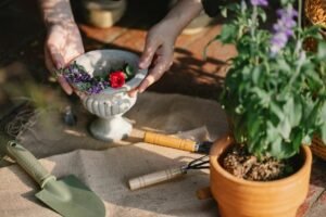 enhance growth with technology